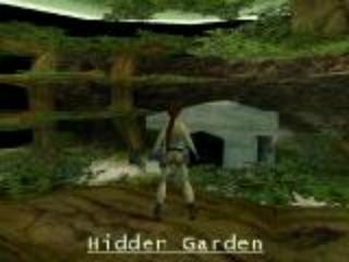 The Hidden Garden