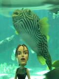 Big Fish