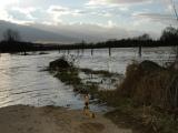 River Sieg