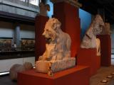 Museum