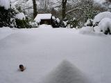Snow