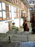 Monks