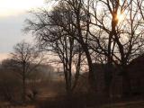 Countryside