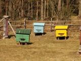 Beehives