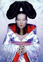 bjorkhomogenic