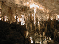 Postojna Cave