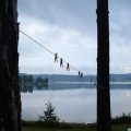 dsc02669.