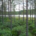dsc02704.