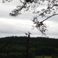 dsc02744.