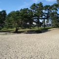 dsc02837.