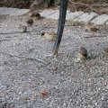 img_3011.