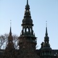 img_3031.
