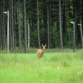 img_3068.