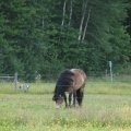 img_3146.