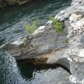 dsc03900