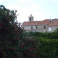 dsc03904