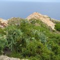 dsc03920