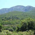 dsc03931