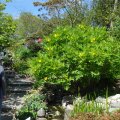 dsc04046