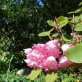 dsc04048