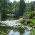 dsc04050