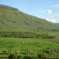 dsc04333