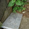 dsc04336