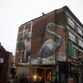 dsc_5084