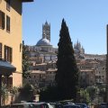 img_0804