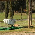img_0807