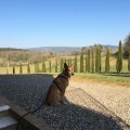 img_0813
