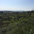 img_0815
