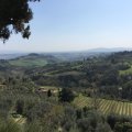 img_0816