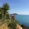 img_0831