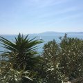 img_0832