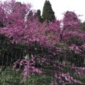 img_0855