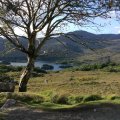 IMG_1043
