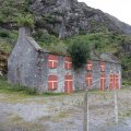 IMG_1136(1)