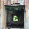 IMG_1139(1)