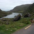 IMG_1143(1)