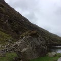 IMG_1145(1)
