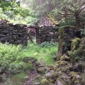 IMG_1152(1)