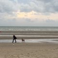 IMG_1411