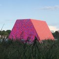 IMG_1431