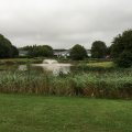 IMG_1433