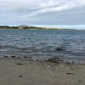 IMG_1439