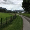IMG_1477