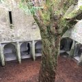 IMG_1481