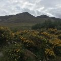 IMG_1581