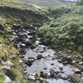 IMG_1586